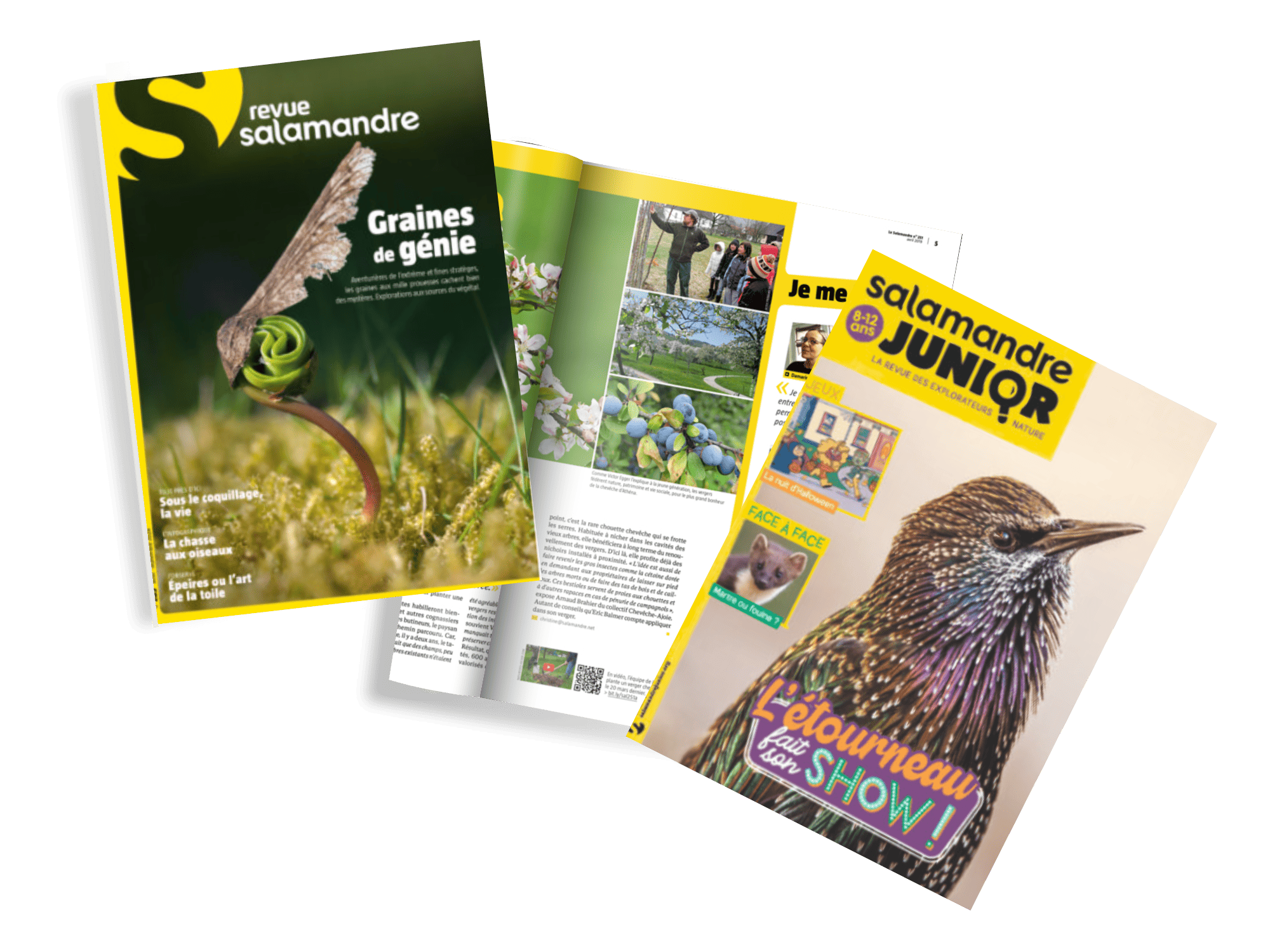 Revues Salamandre